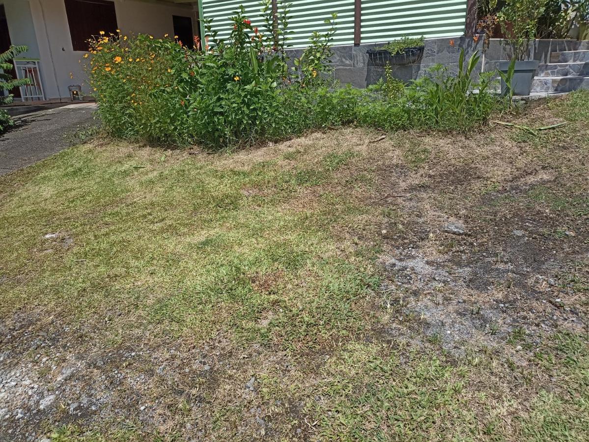 Appartement Milo 1 Bouillante Εξωτερικό φωτογραφία